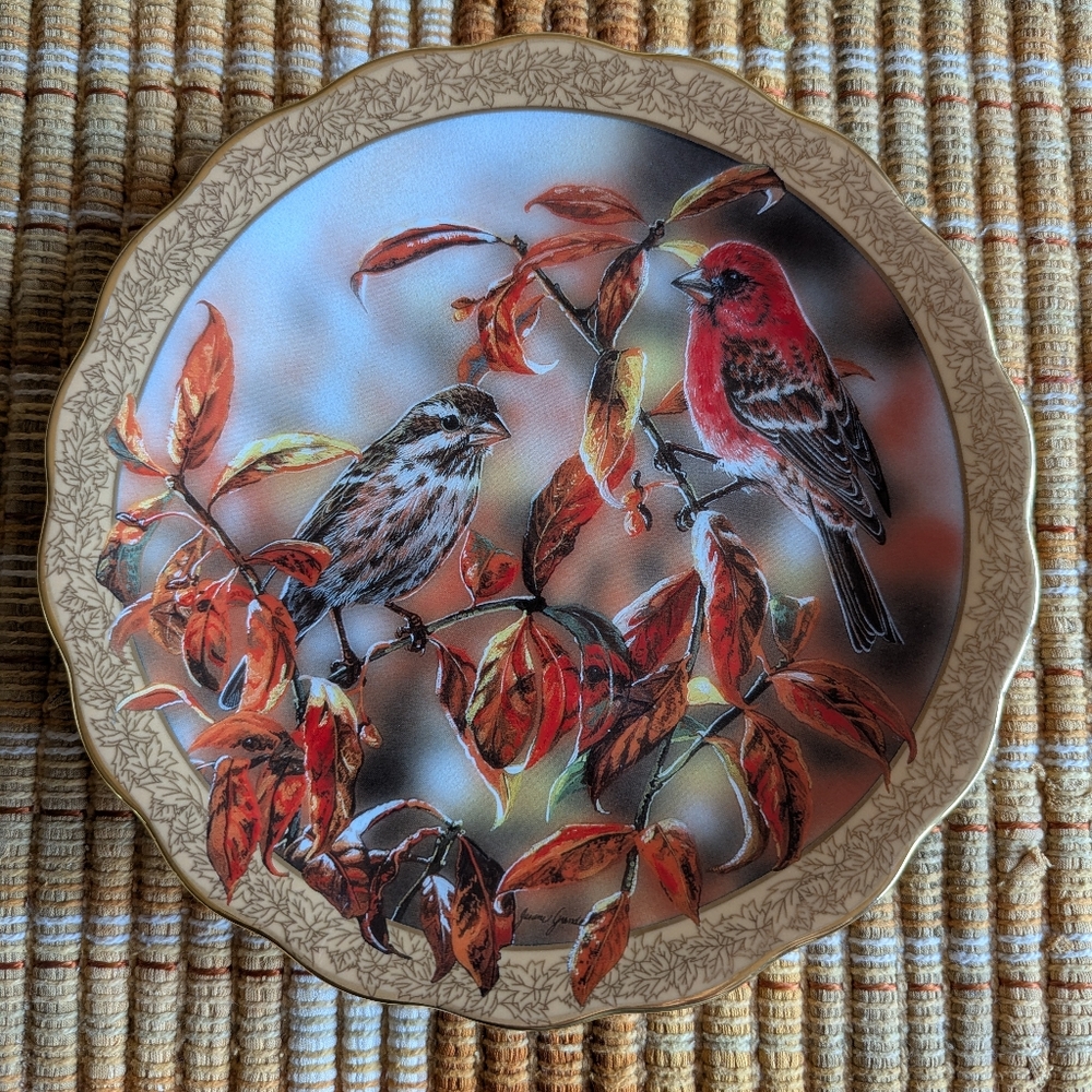 Bradford Plate - "Auburn Illusion"